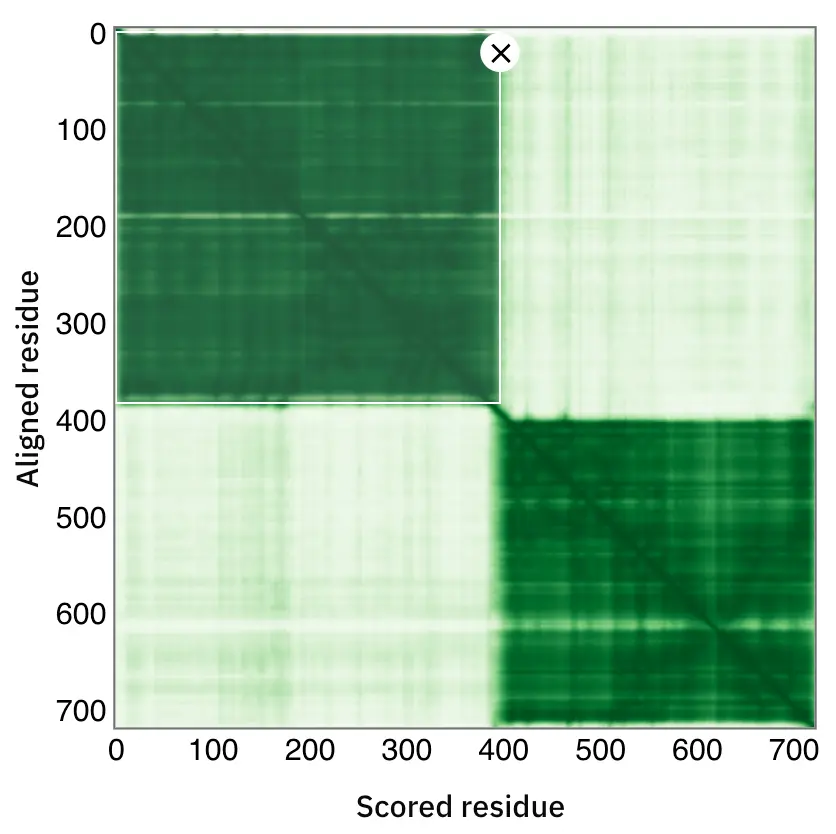 pae image 6